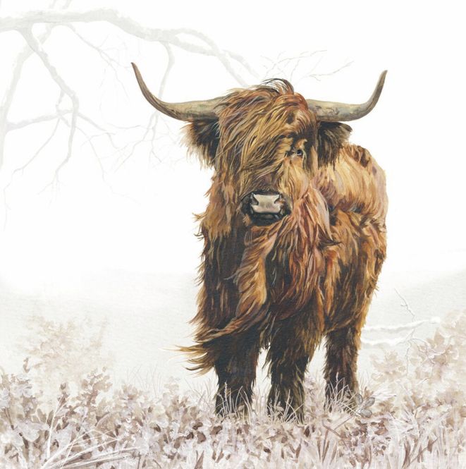 Hovedbilde Servietter highlander
