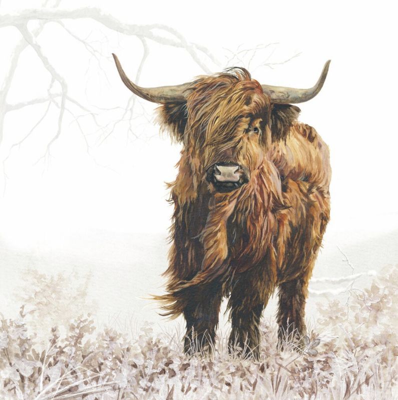 Servietter highlander