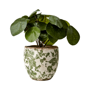 Hovedbilde Victoria krukke gr&oslash;nn og hvit