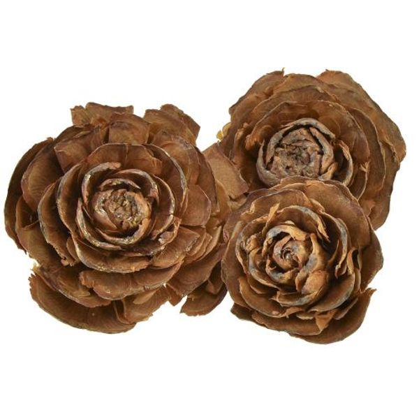 Rose/kongle