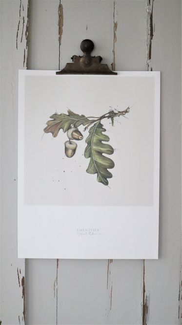 Hovedbilde Kunsttrykk 