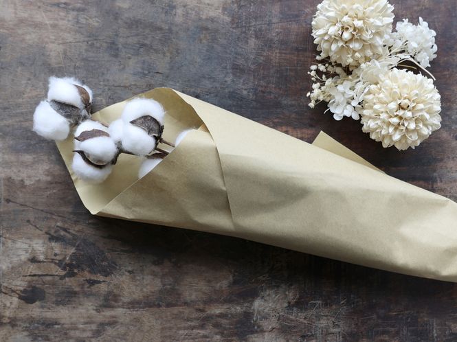 Hovedbilde Tørkede bomullsblomster, 60 cm