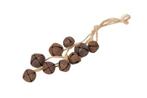Hovedbilde Bjelleknippe – rust 25 cm