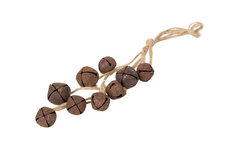 Bjelleknippe – rust 25 cm